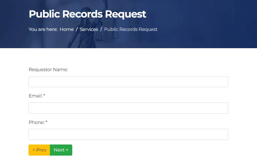Screenshot of the public records request form from the St Lucie County Clerk of the Circuit Court with fields for the requestor's name, email address, and phone number.